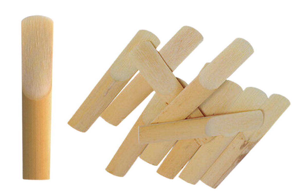 Parts Of The Anatomy Phamox Music