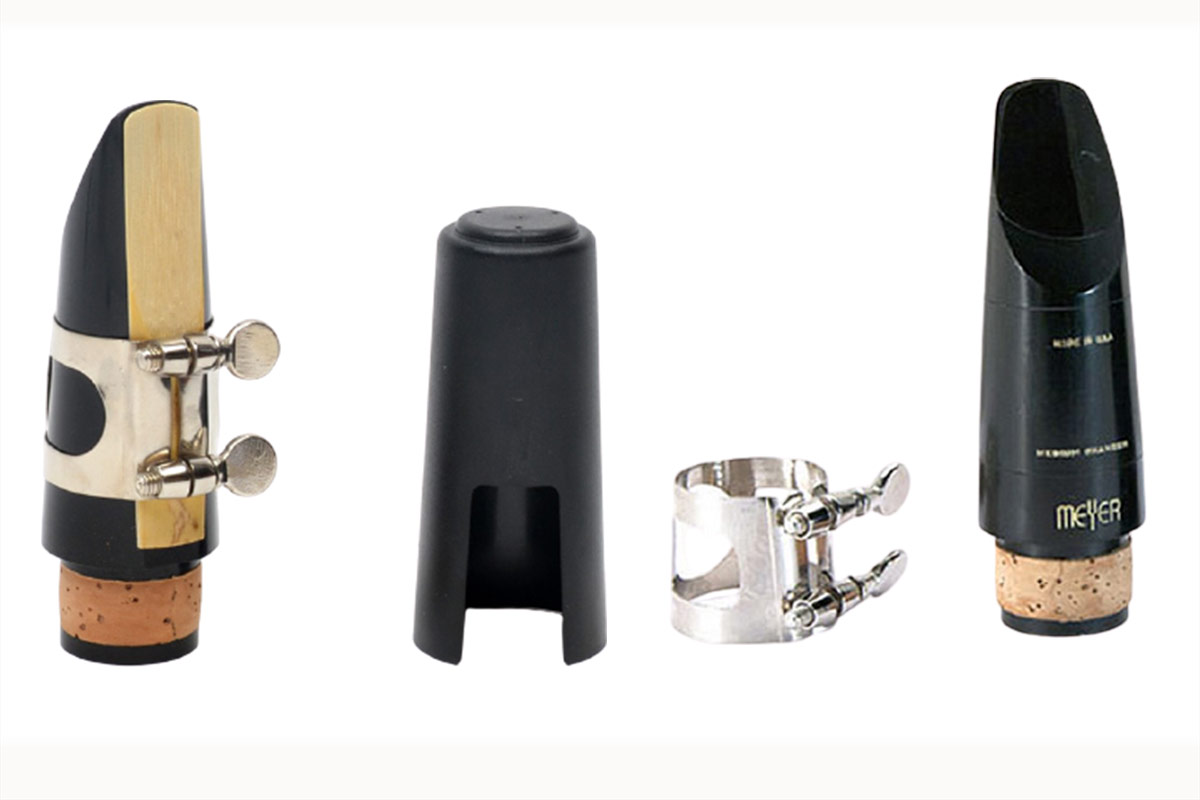 Parts Of The Anatomy Phamox Music