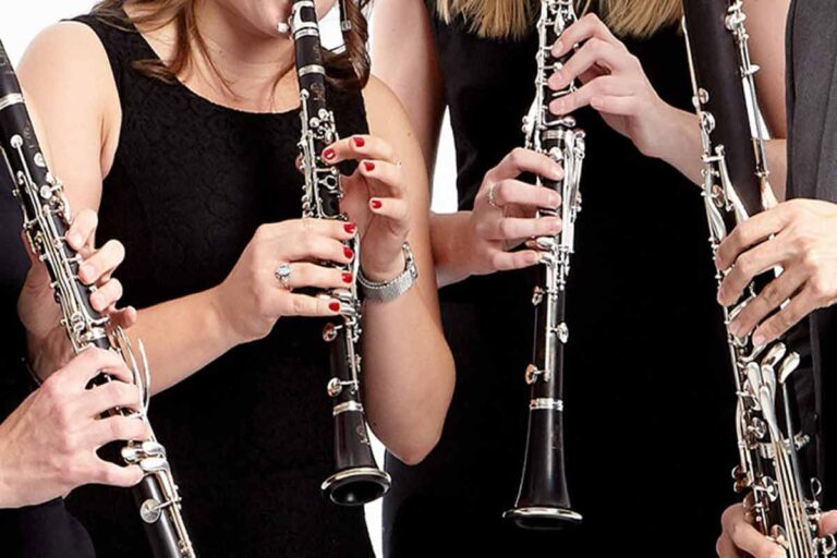 The History, Types, and Maintenance Phamox Music