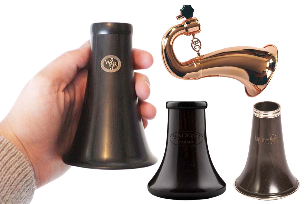 Parts Of The Anatomy Phamox Music