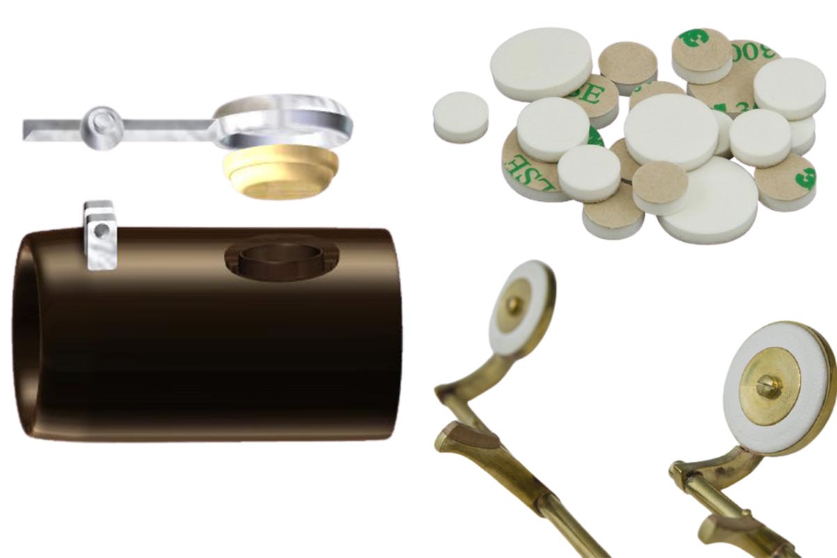 Parts Of A Anatomy Phamox Music