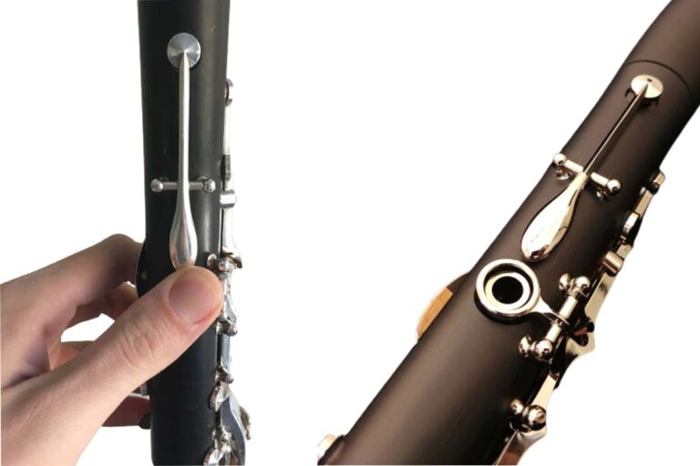 Parts Of The Anatomy Phamox Music