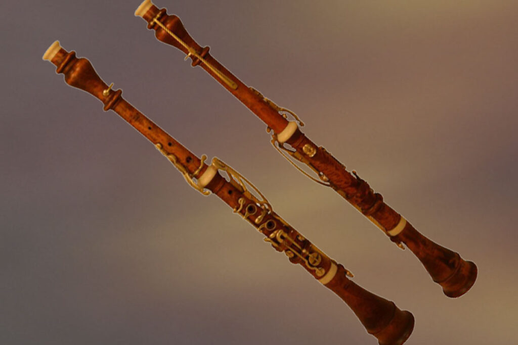 sponge Achievement The above Oboe - Woodwind And Reed Instrument Overview - Phamox Music
