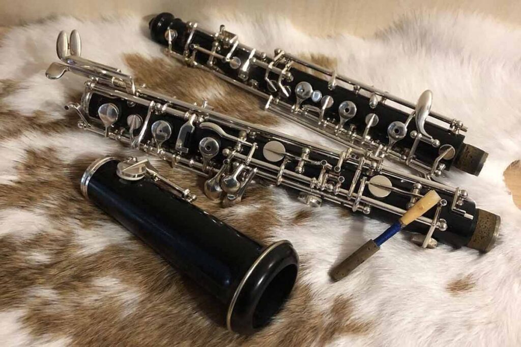 Freeze Arise So-called The Oboe Parts You Need To Know - Phamox Music