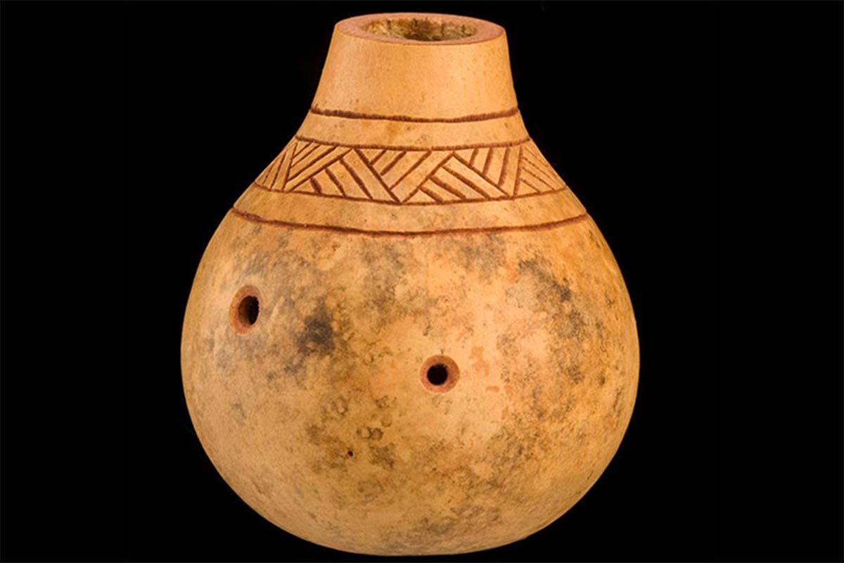 Types Of Flutes 21 Different Types Explained Phamox Music