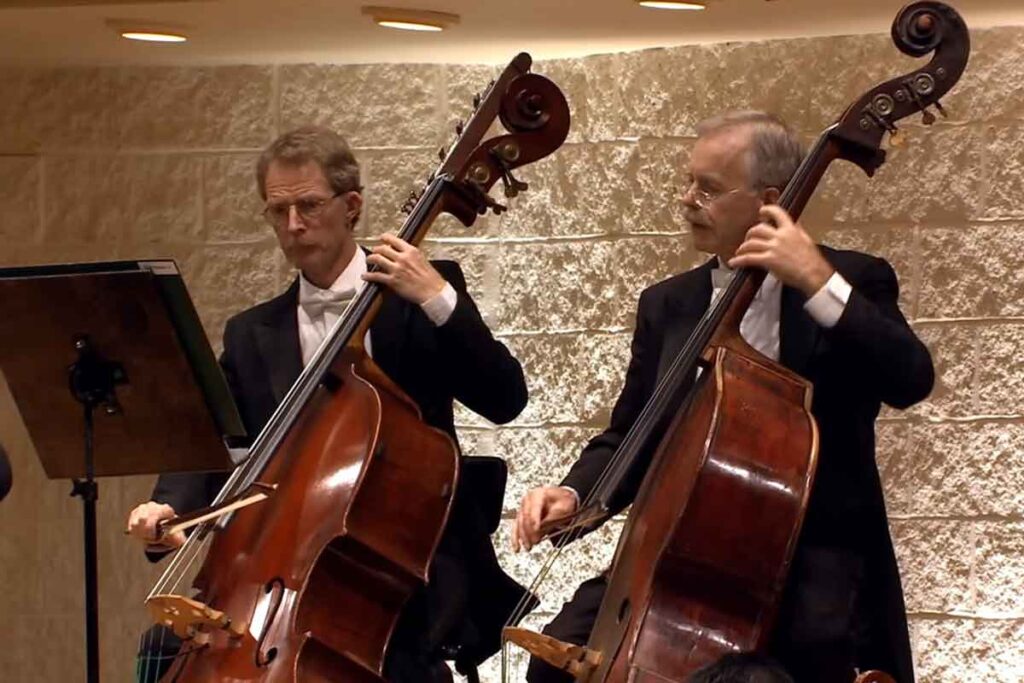 Double bass as orchestra string instrument