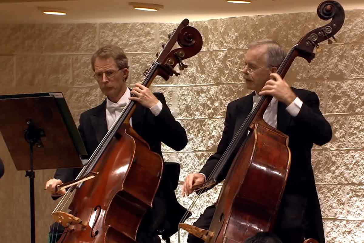 Orchestra String Instruments Phamox Music