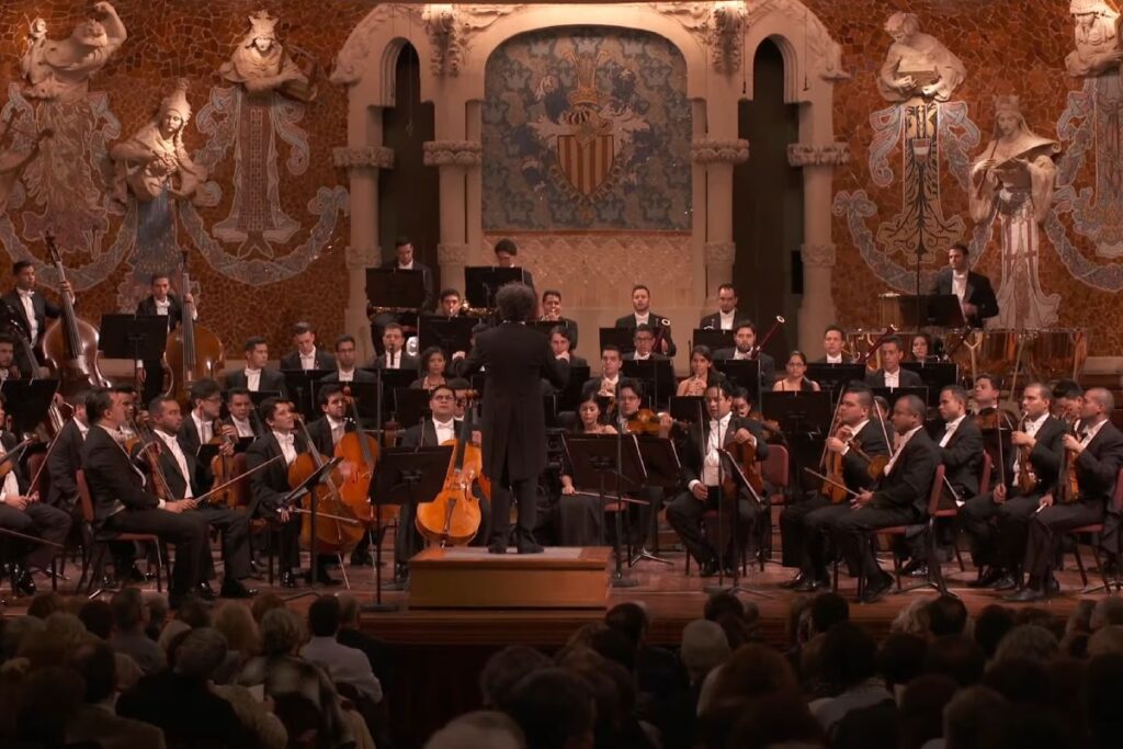 the largest section of the Western orchestra