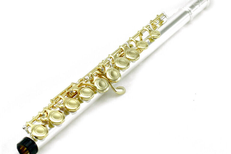 The Parts Of a Flute Flute Anatomy Phamox Music