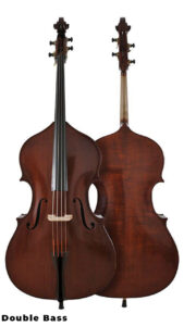 Violin Family - A Quick Guide - Phamox Music