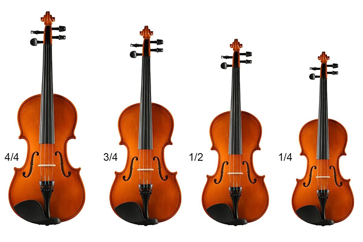 Violin Types And Sizes At Frank Thill Blog