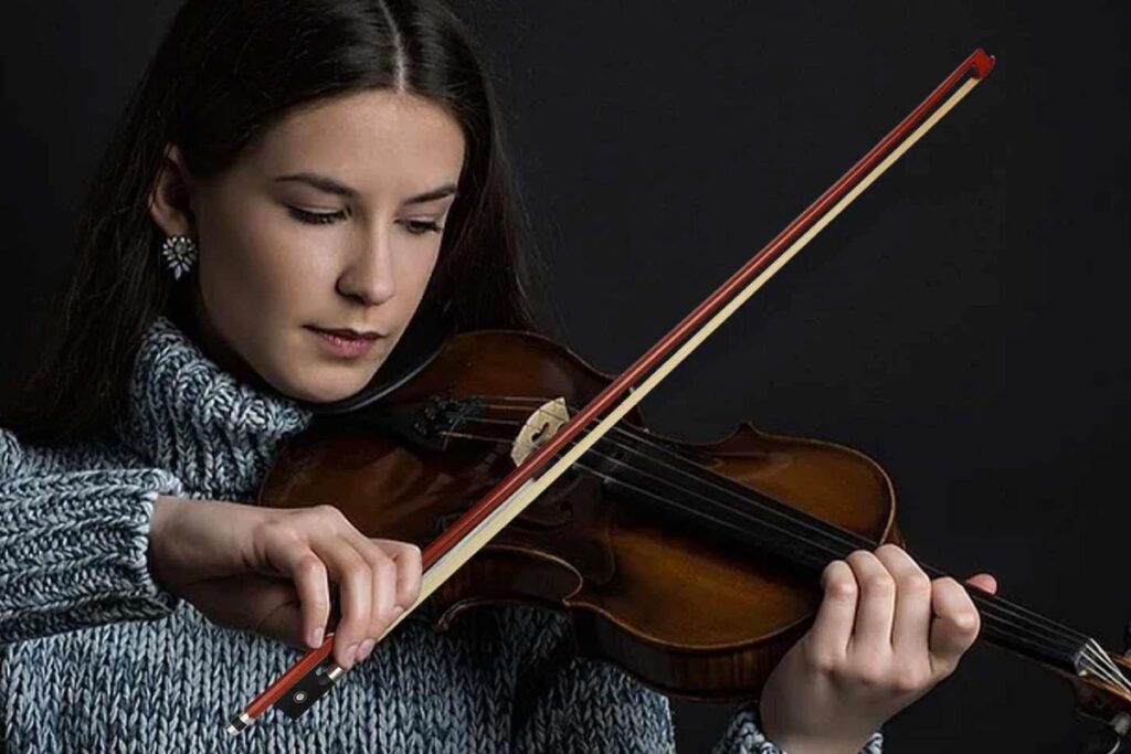 Violin bow care