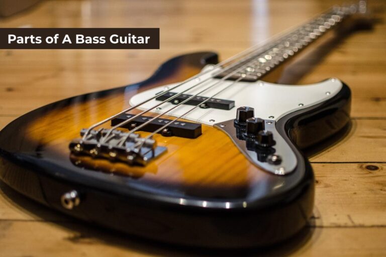 Parts of Bass Guitar: A Complete Guide - Phamox Music
