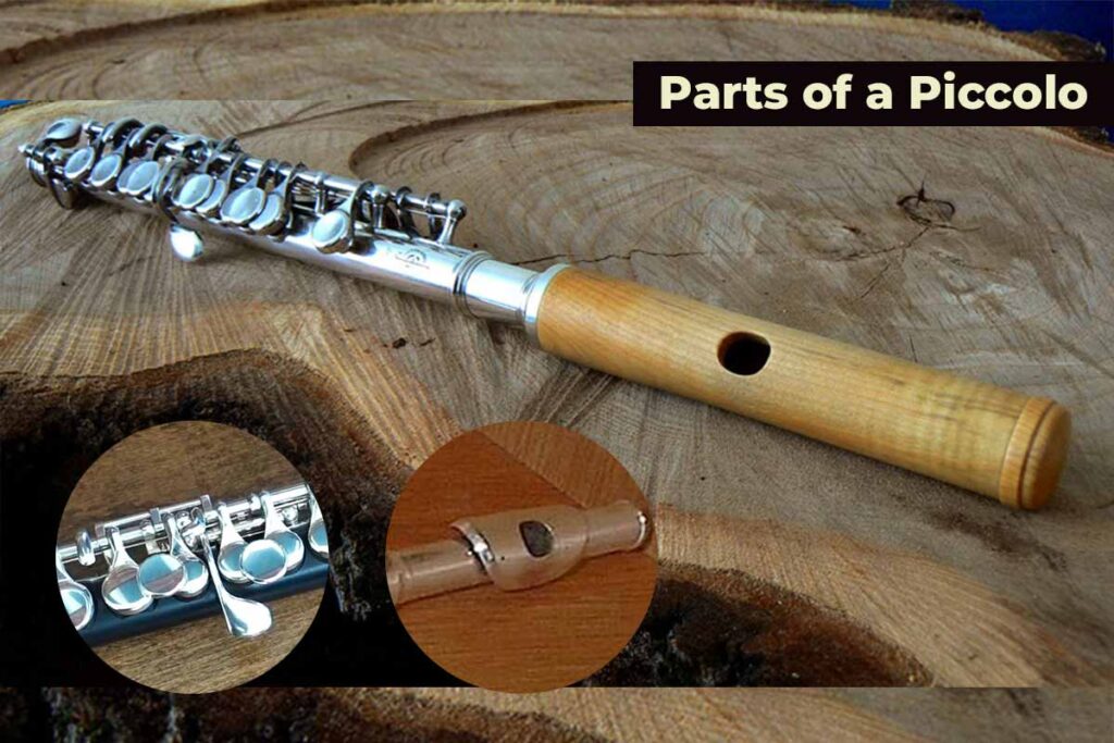 Parts of a Piccolo