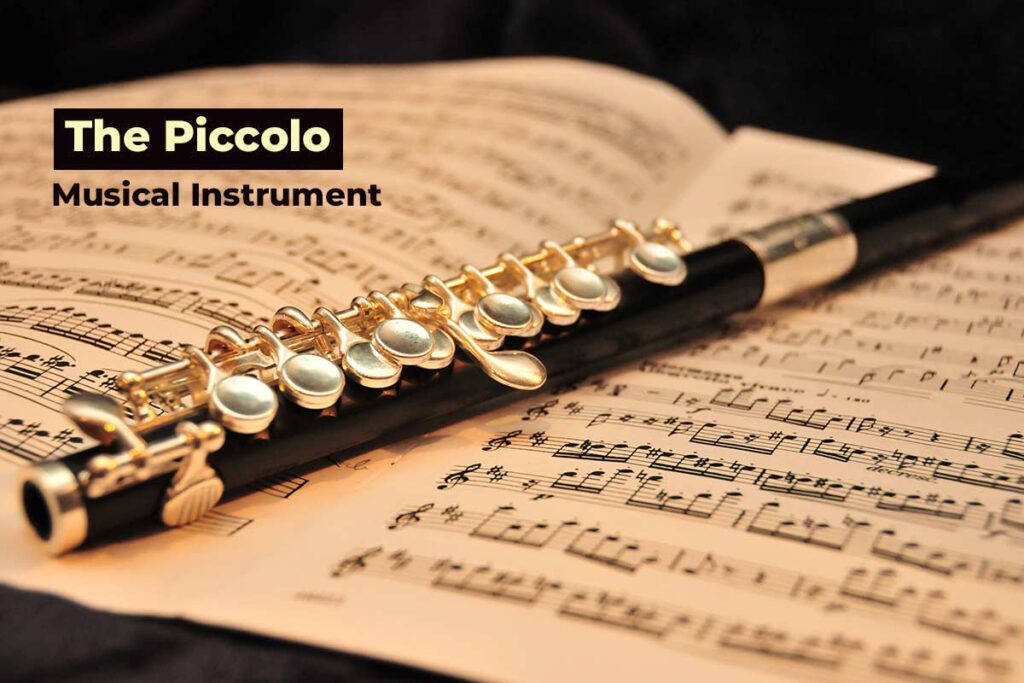 Piccolo A Musical Instruments Phamox Music Piccolo A Musical Instruments Phamox Music