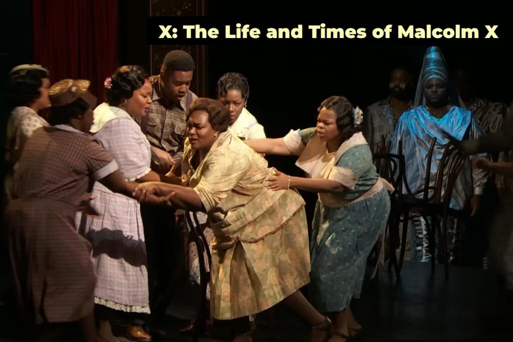 X: The Life and Times of Malcolm X