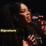 A Quick Guide to Vocal Signature